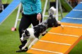 /album/fotogallerij/gorinhem-05-05-6-jpg/